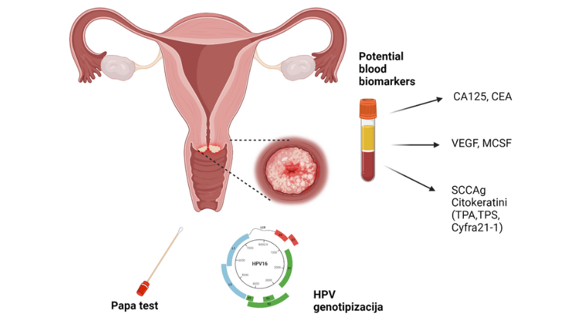 PAPA test, HPV